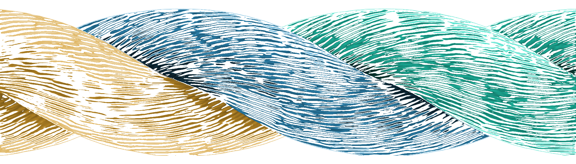 Three strands — human, organization, and technology — twisted into a single rope